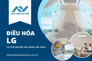 Phân phối điều hòa LG tại Thái Nguyên, Bắc Giang, Bắc Ninh..