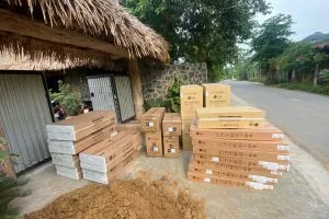 Điều hòa Multi là gì? Ưu nhược điểm của điều hòa Multi hiện nay